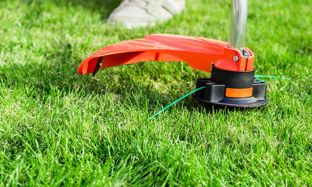 How to Choose the Best Trimmer for Thick Grass: Ultimate Buying Guide
