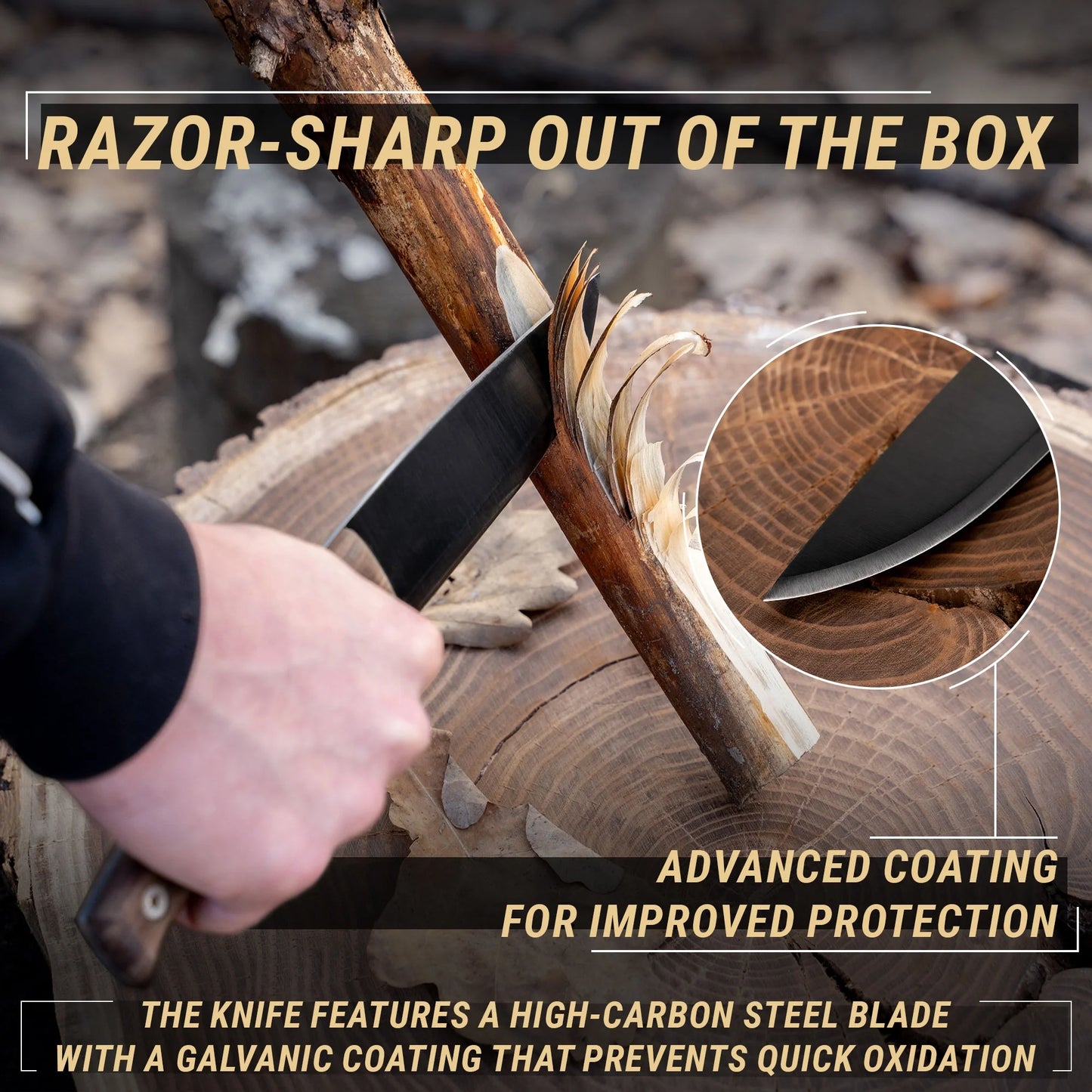 BeaverCraft BSH3 Carbon Steel Fixed Blade Bushcraft Knife Walnut Handle with Leather Sheath