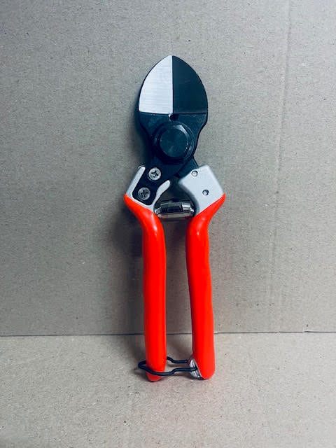 Castellari B12 Secateurs