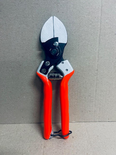 Castellari B12 Secateurs