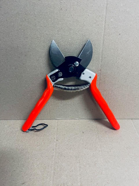 Castellari B12 Secateurs