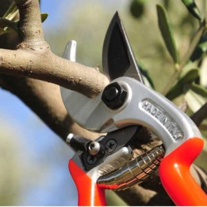 Castellari Ergonomic Secateurs