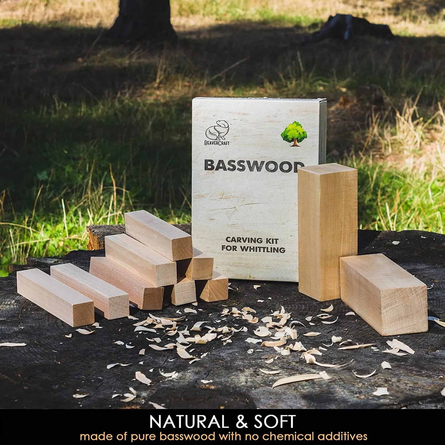 BeaverCraft BW10 Set of Basswood Wood Carving Hobby Blocks 10 pcs