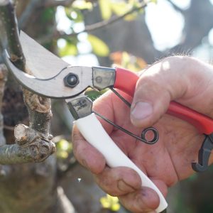 Okatsune Pruning Shear 200mm