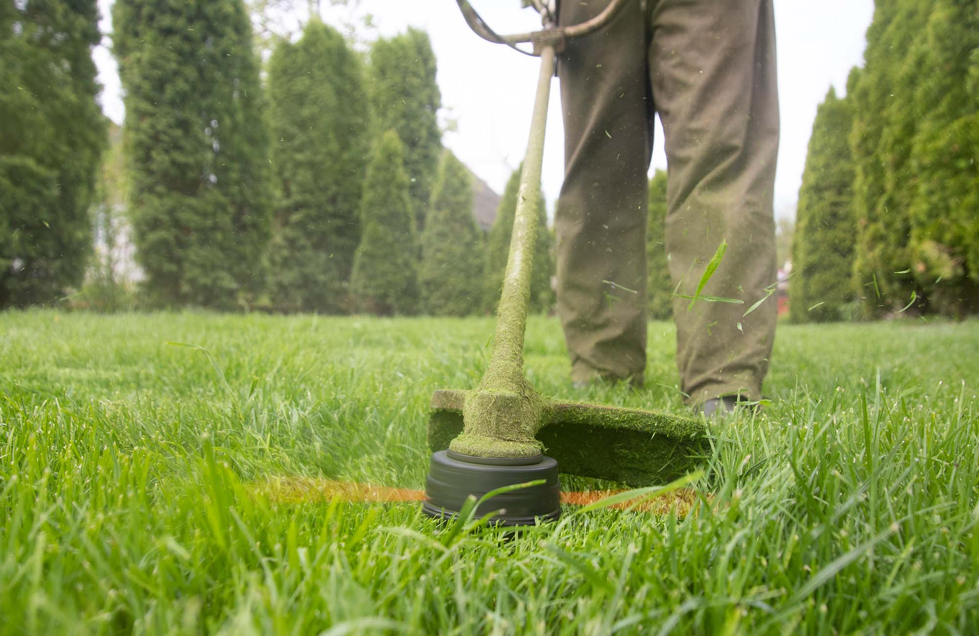 Discover the Best Trimmer Line for Lawn Care Success