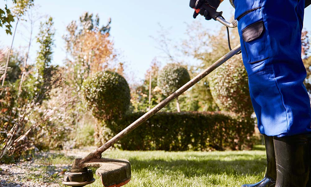 best trimmer line australia