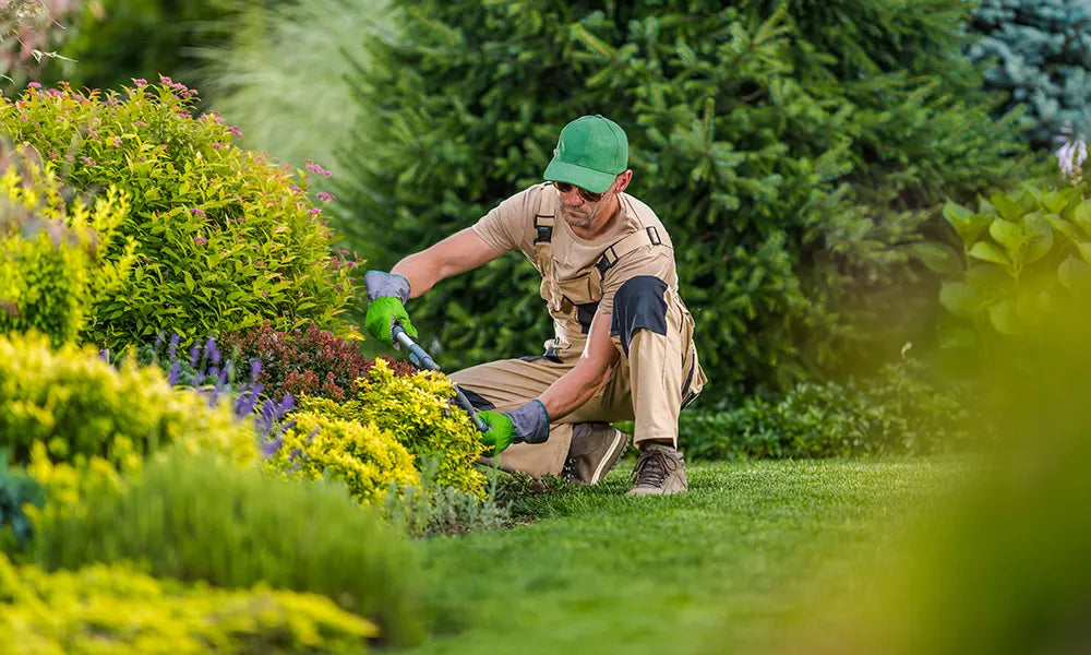 How to Keep Your Lawn Looking Neat Year-Round with Simple Garden Maintenance Habits