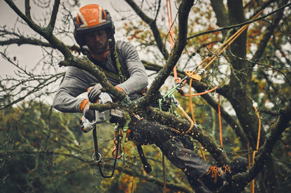 STIHL GTA 40 Battery Pruner AS System