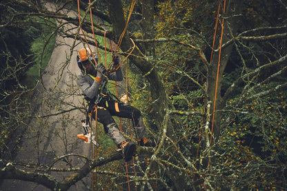 STIHL GTA 40 Battery Pruner AS System
