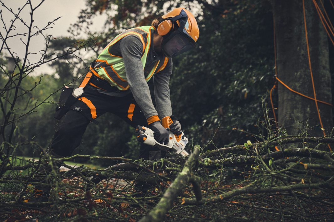 STIHL GTA 40 Battery Pruner AS System