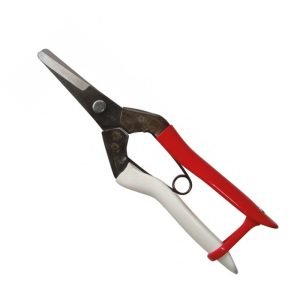 Okatsune Onion Shears