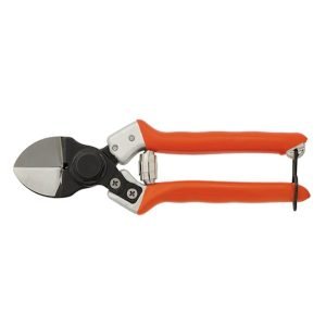Castellari B12 Secateurs