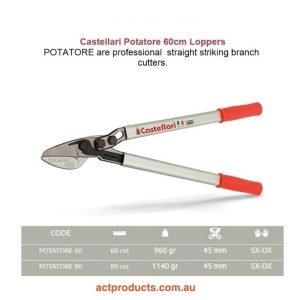 Castellari Potatore 60cm