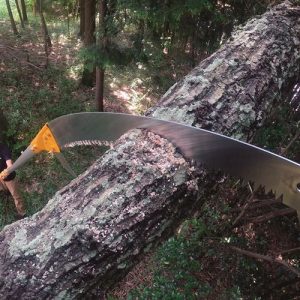 Silky Hayate 7.7M Pole Saw