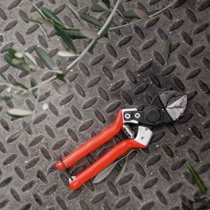 Castellari B12 Secateurs