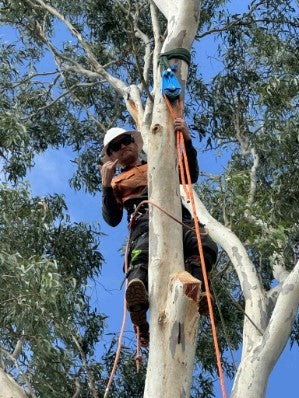 ISC Medium Hot Forged Rigging Pulley for 19mm Rope