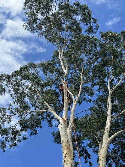 ISC Medium Hot Forged Rigging Pulley for 19mm Rope