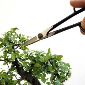 Okatsune Traditional Bonsai Snips