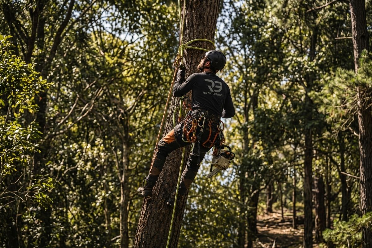 Operator using a whipper snipper